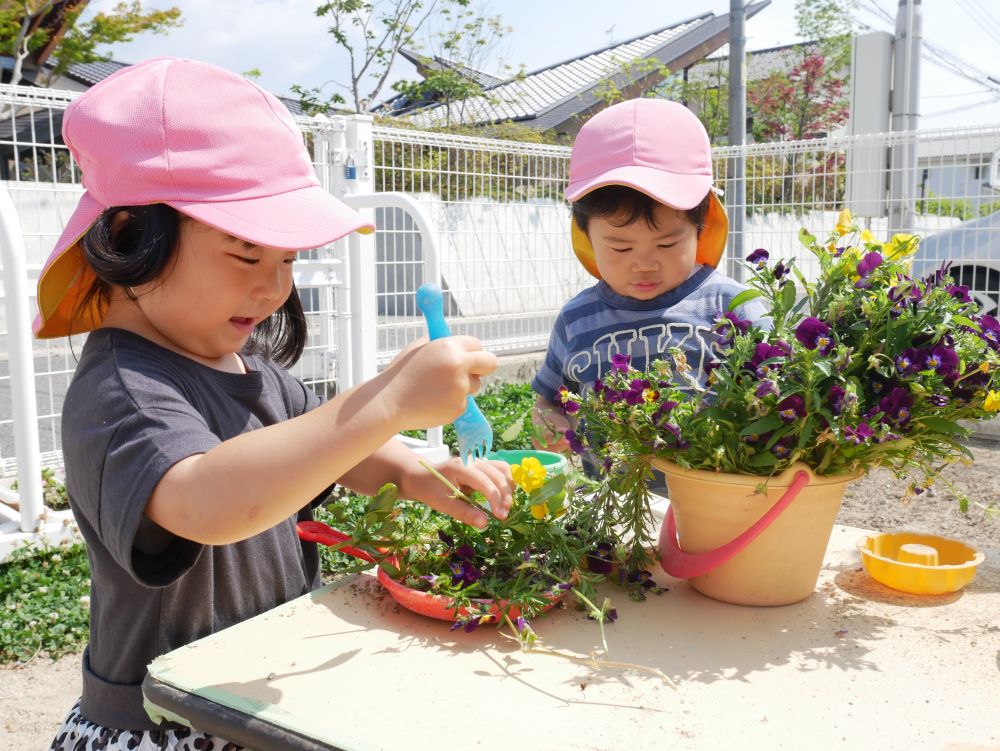 『その花使いたい！！』と集まってきたＴくんとYちゃん
『ご飯の盛り付けにピッタリだね』と二人の会話も盛り上がっています