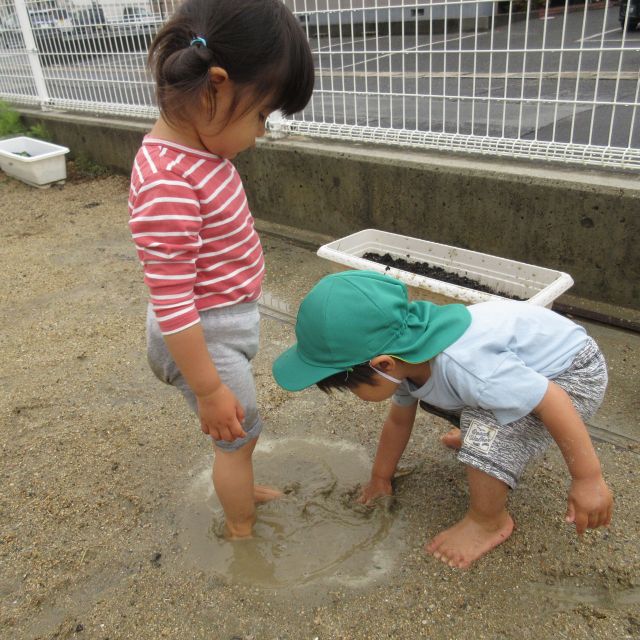 ＊　2歳児　雨上がり　＊