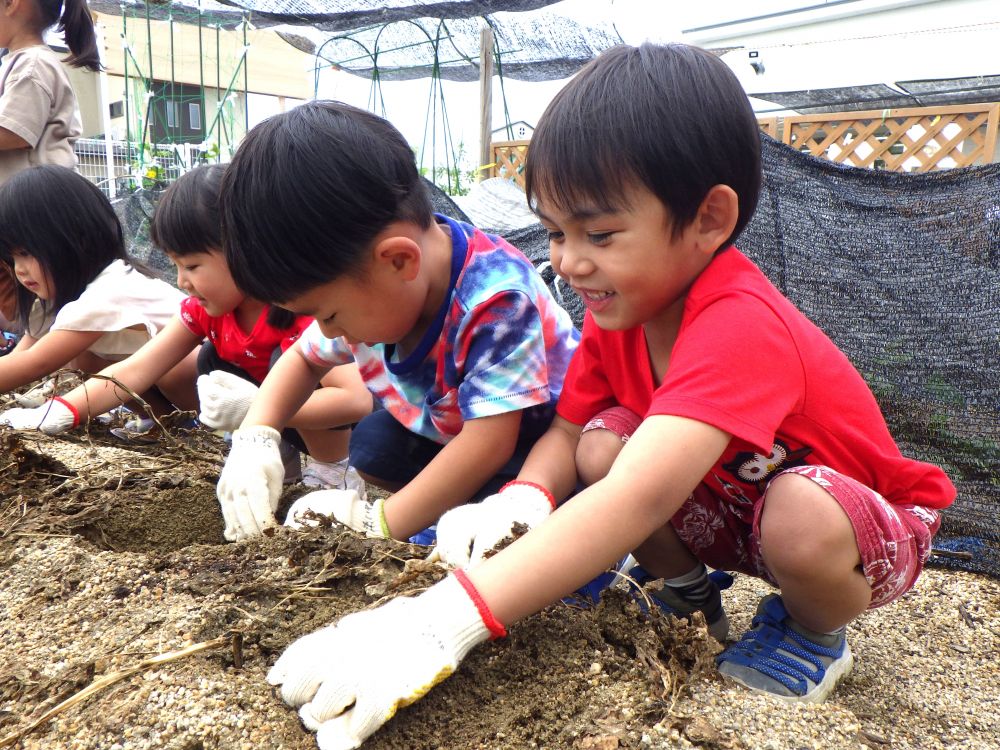 今日は楽しみにしていたじゃがいも収穫の日
軍手をつけてやる気満々！！

畑に着いた瞬間さっそく掘り始めたゾウ組さん

「あった～！」
「いっぱい集まっとるよ～」

次々出てくるじゃがいもに大喜び♡
