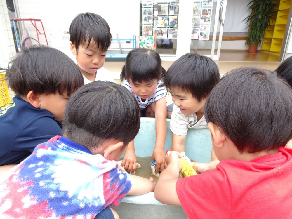 使ったものはきれいに!
自分の軍手をていねいに洗うゾウ組さん
「楽しかったね~」
「またしたいね!」
みんなで獲ったじゃがいもが
どんな料理に変身するか楽しみだね♡