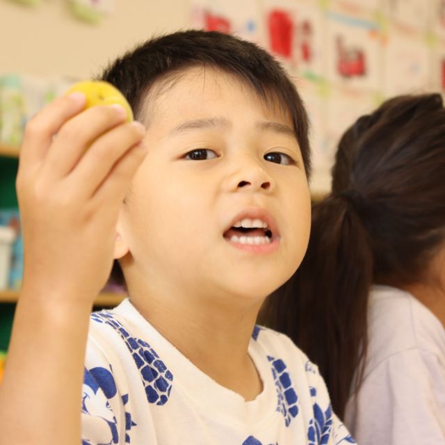 ＊　5歳児　梅シロップ作り　＊