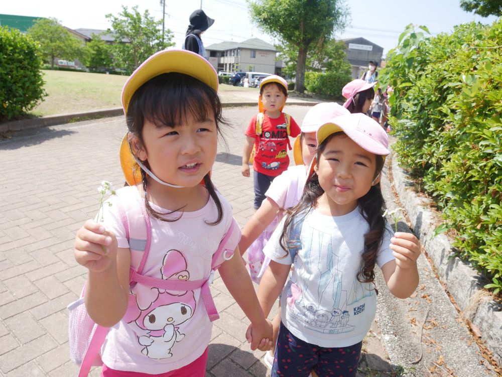 『あっ!!かわいいお花見つけた』
『一緒のお花だね』
散歩での発見が楽しい♡