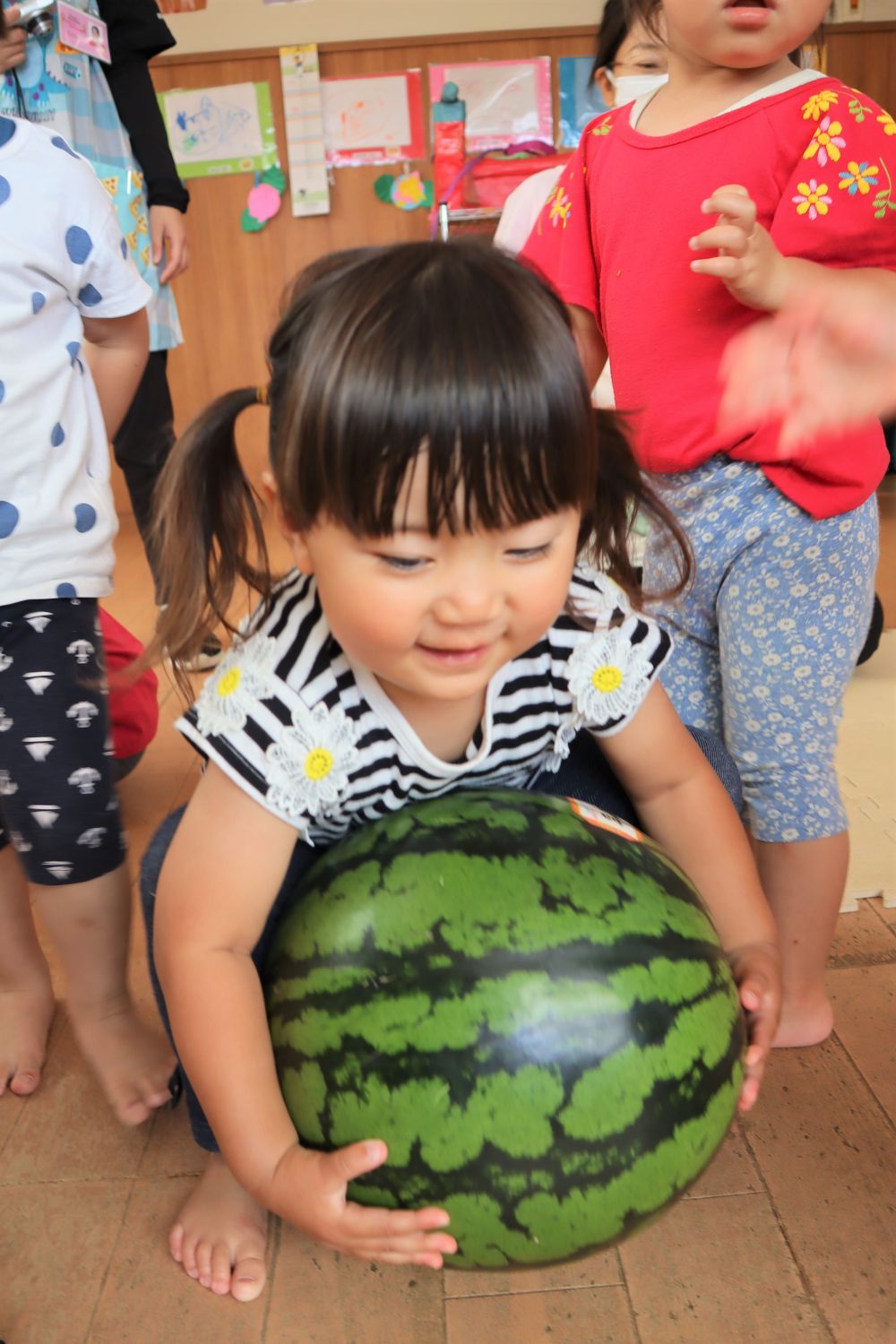 この時期にはまだ珍しい【すいか】。
保護者の方からいただき、夏が旬の食材と一足早く触れあうことができました♡

丸ごと１玉、おうちでは見る機会も少ないですよね。

そんな珍しい丸ごとすいかに、クマ組さんも大喜び♪
まずは触ってみたい！　持ってみたい！

身体の半分近くある大きさのすいか。手をまわしても、届かず・・・
持ち上げたいけど・・・重い！！
手がすべって、尻もちをついちゃった子もいましたよ♡