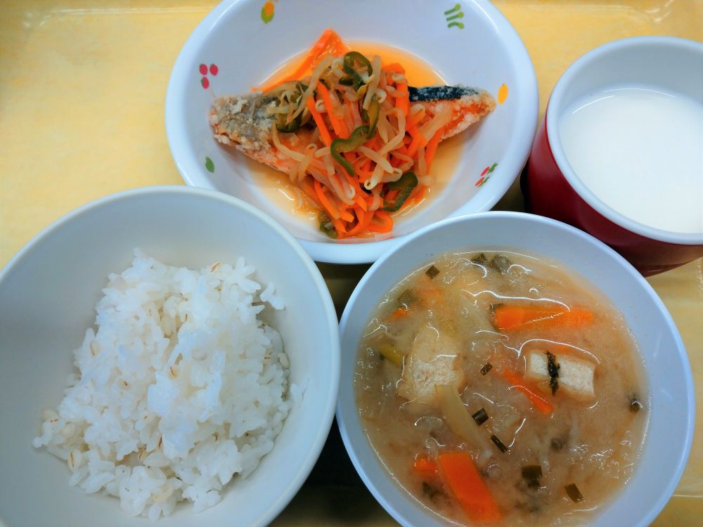 麦ご飯

鮭の南蛮漬け

切干し大根のみそ汁

牛乳