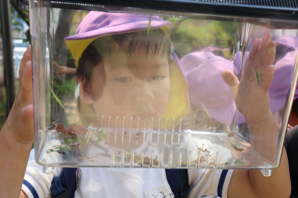 俺たちはやっぱり虫探し

たくさんのバッタにカエル、蝶々、ダンゴ虫等

「今日は良い日だ」と、つぶやく子ども♡

復路は約４０分でした