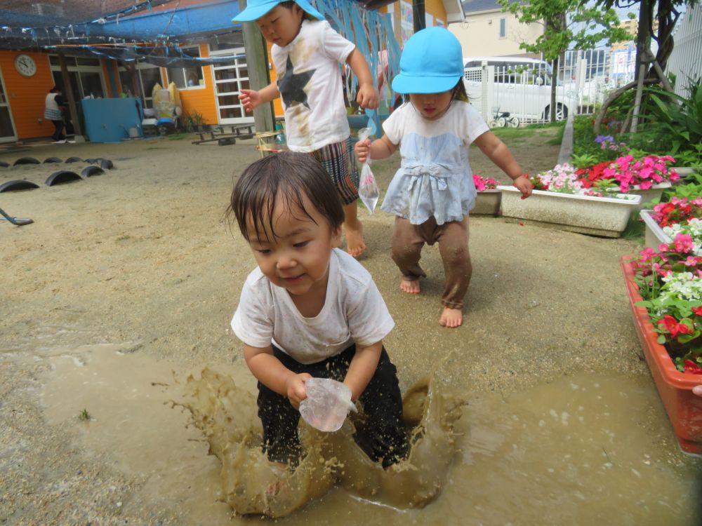 前日の雨で園庭のあちこちに大きな水たまり

子ども達の目は一気に輝きだします

迷わず水たまりにダイブ！

あっ！良い所に水たまり発見

砂山からジャーンプ、水しぶきが楽し～い