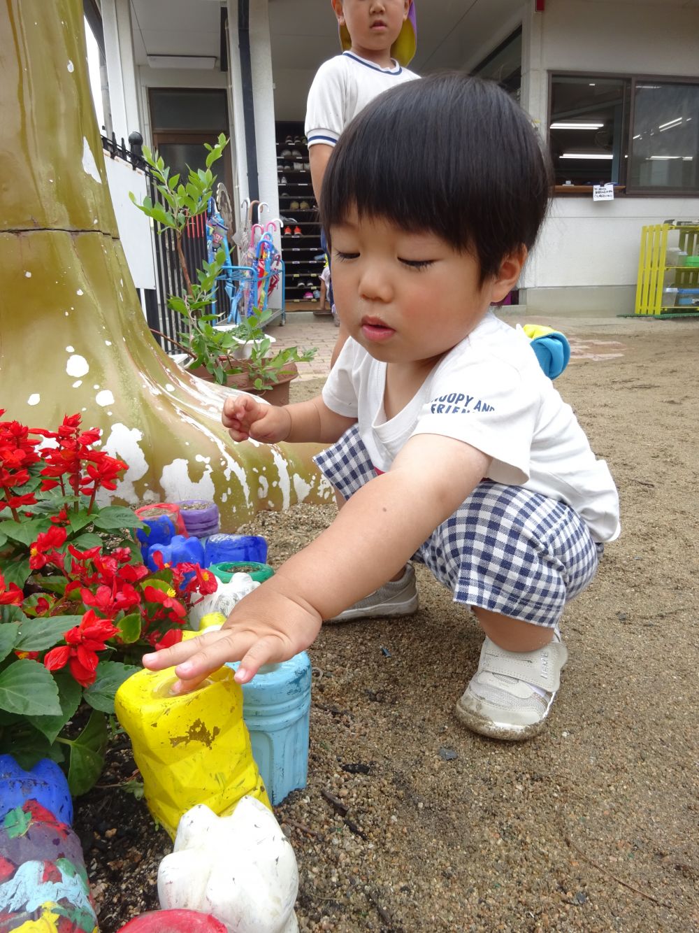 ヒヨコ組さんも雨あがりの園庭を探索♪
「お～～！！」と大きな声でなにかを発見したことを教えてくれるGくん。
指でちょんちょんと触って「ぴちゃぴちゃ！」

こんなところにもちっちゃな水たまりがありました😊 よく見つけたね♡

