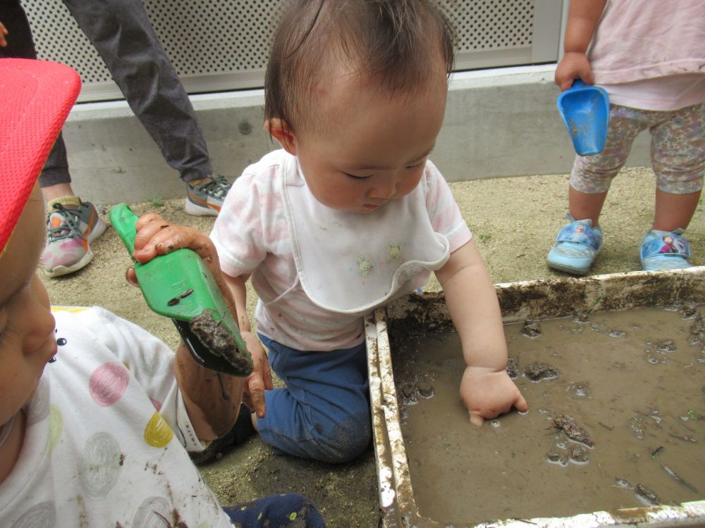 どんな遊びも物怖じせずに、挑戦するKちゃん
泥の中にはじめは人差し指をさしこんでいました
しばらくすると、両手でピチャピチャして、最後には泥んこの中にダイブ！！
全身でたのしみました♡


この時期ならではのどろんこ遊び、とっても楽しかったです