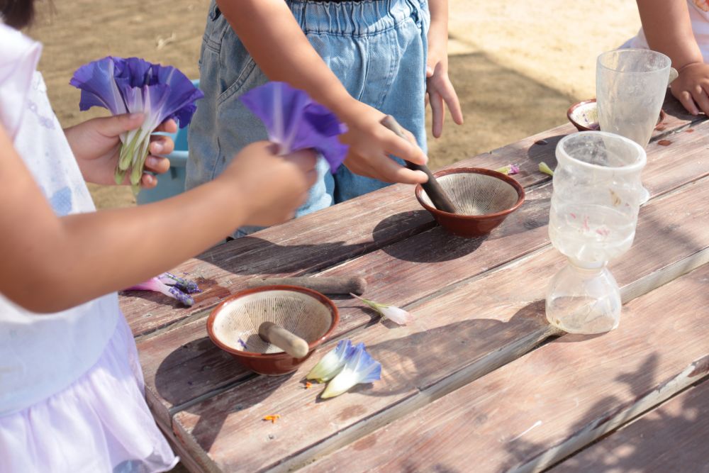 食べ物屋さんは花びらをこすって色水ジュース作りに挑戦

どんなジュースができるかな？