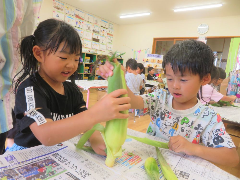 今日のおやつは、今が旬の【とうもろこし】と【すいか】です♡

そこで、キリン･ゾウ組さんに、おやつ作りの手伝いをお願いしました♪
今日のミッションは・・・「とうもろこしの皮むき」です。

友達と二人一組になって、皮むきにチャレンジ！！
一枚ずつ交代で剥く子もいれば、一緒に持ち、協力しながら剥く子もいて・・・
それぞれが考えながら、順番に楽しんでいました♪