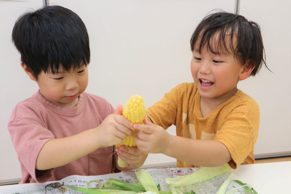 かたい皮を頑張って剥いていくと・・・
「あっ！見たことあるやつ出てきた～！」
「黄色がキレイじゃね」
と、嬉しそうな声♪
中身が見えると、テンションが上がる様子です♡

「おひげもキレイにとってね～」
とお願いすると、小さな指で、細ーいひげを一生懸命つまみ、プチプチしてくれています。
園のみんなが楽しみにしているおやつのため、頑張ってくれたキリン・ゾウ組さん。
みんな、ありがとう♡