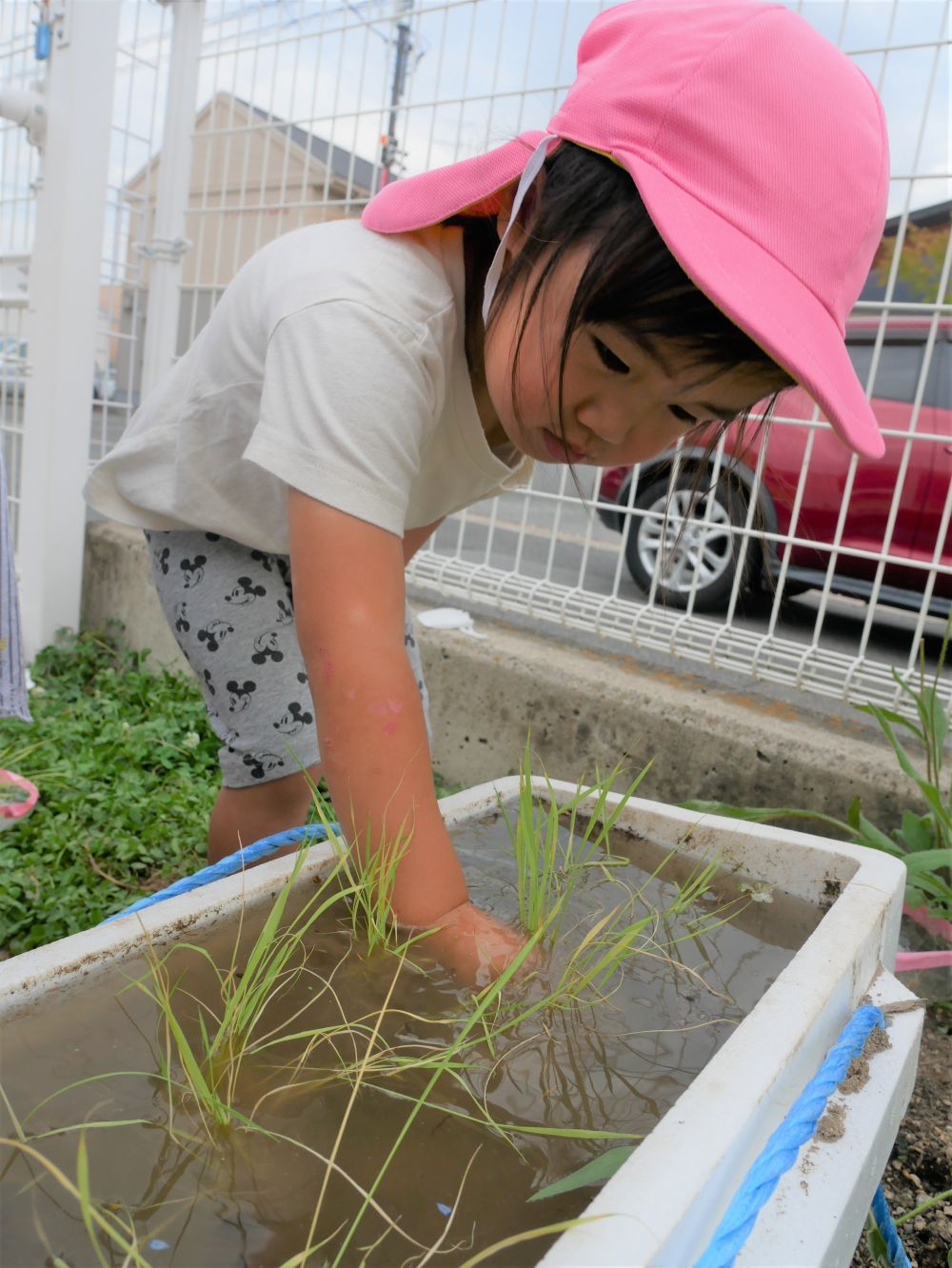 『泥がぬるぬる～！!気持ちいい～』
田植えを楽しむRちゃん