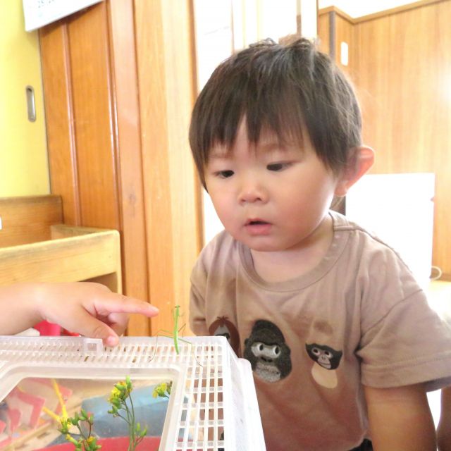 ＊　1歳児   　新しい仲間がやってきた　＊