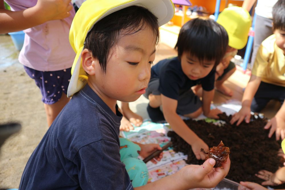 「おー！！！おったー！！」
「すごいすごい！かっこいい」
「なんか色が茶色くてピカピカしとるね」
「家にいるのとは違う色！」
幼虫から成虫になった姿を見て大興奮のみんな♡