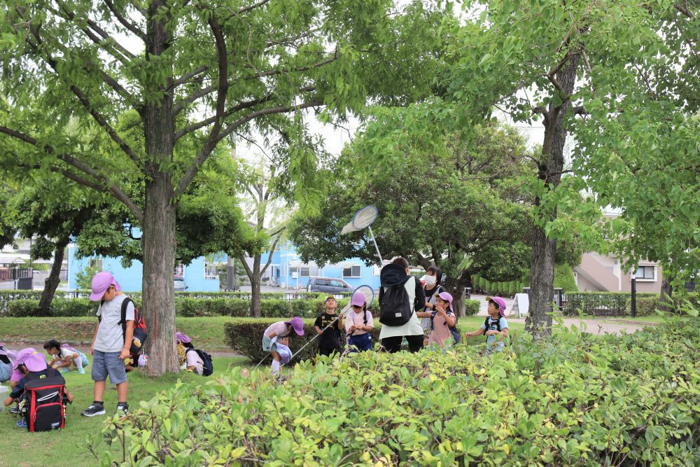 夏といえば・・？？

暑い毎日・・
今日も暑かったのですが、風が気持ちよくセミ捕りにはちょうど良い暑さ？
尾道東公園にセミ捕りに・・
公園に着くと、大きな木の下はセミの大合唱

セミを捕まえたい子ども、木の実を一生懸命拾う子
ゆめっ子みんな自然を満喫中です