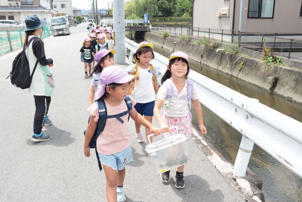 つい夢中になって、帰りの時間を忘れてしまいながら

虫かごを「僕がもつ」「私がもつ」
気持ちがぶつかることもありますが
「順番に持とう」「一緒に持とう」
「その方が仲良くできて楽しいね」

セミ捕りだけではなく、人間関係を築いていくための貴重な経験も積み重ねています