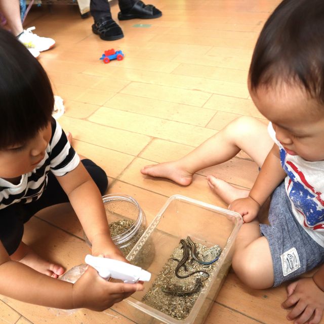 ＊　２歳児   　生き物のお世話②　＊