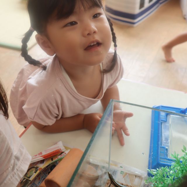 ＊　２歳児　とかげのお引越し②　＊