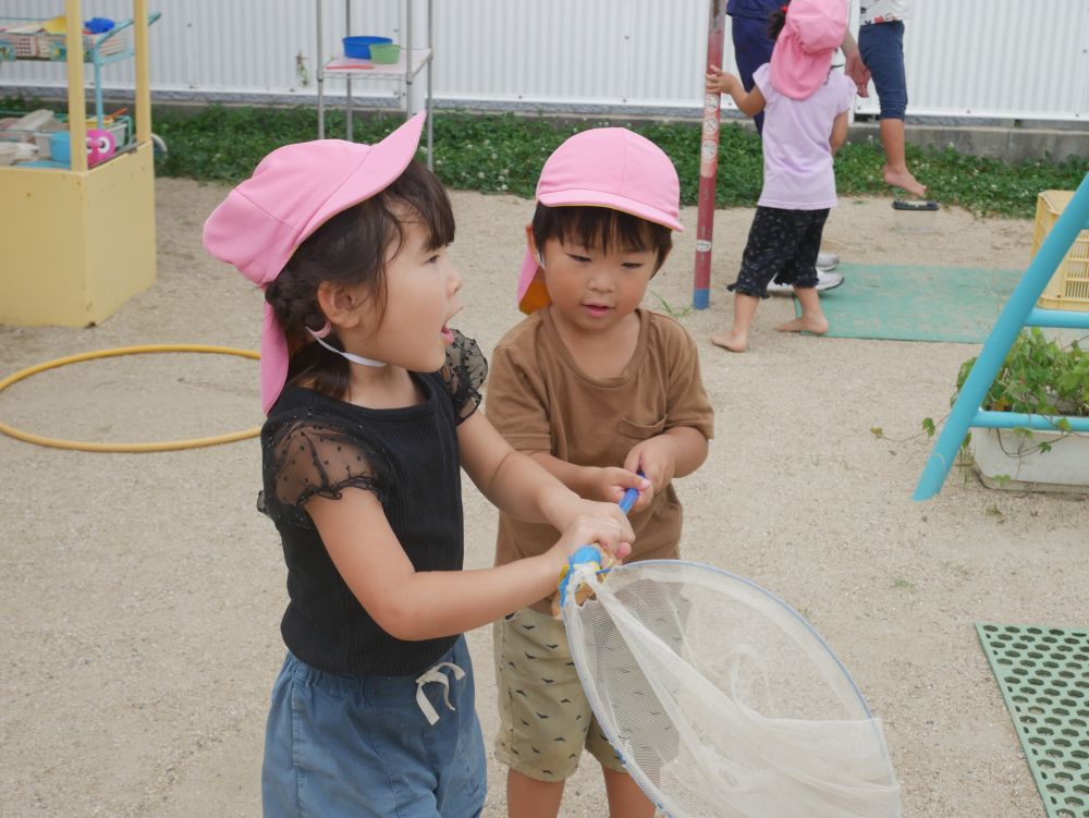 おや？網の取り合いをしているの？・・・
いえ、違いました♡
『ちょうちょを見つけよう！』
虫探しを通して一緒に虫を探す姿も♡