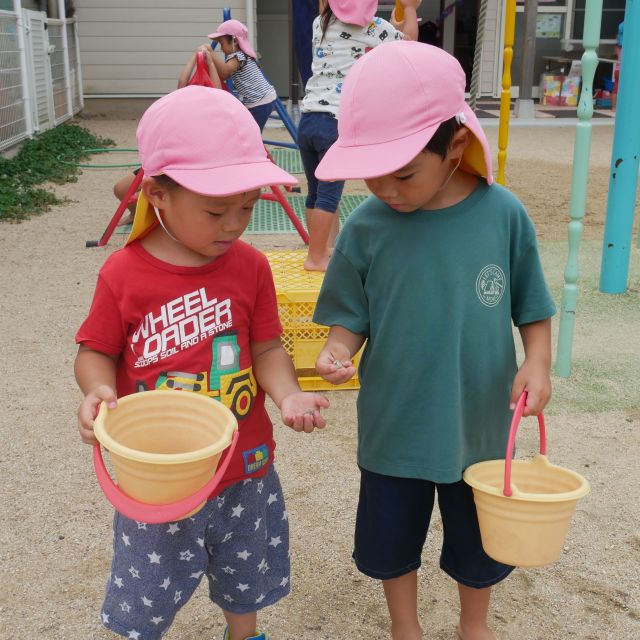 ＊　３歳児   　一緒が楽しい②　＊