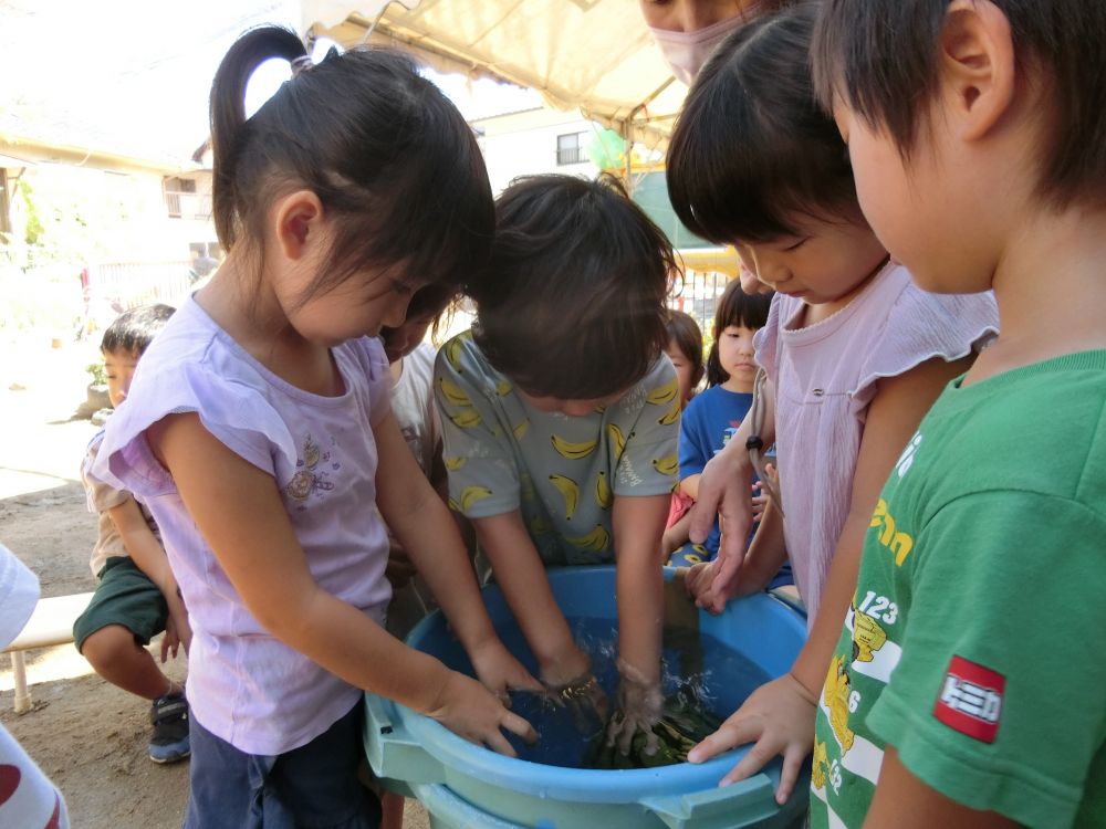 大きなすいかは・・・？
浮かびました！！

「大きいのに浮かんだね！」
「なんで浮かぶんかね？」
と不思議そうな子ども達♪