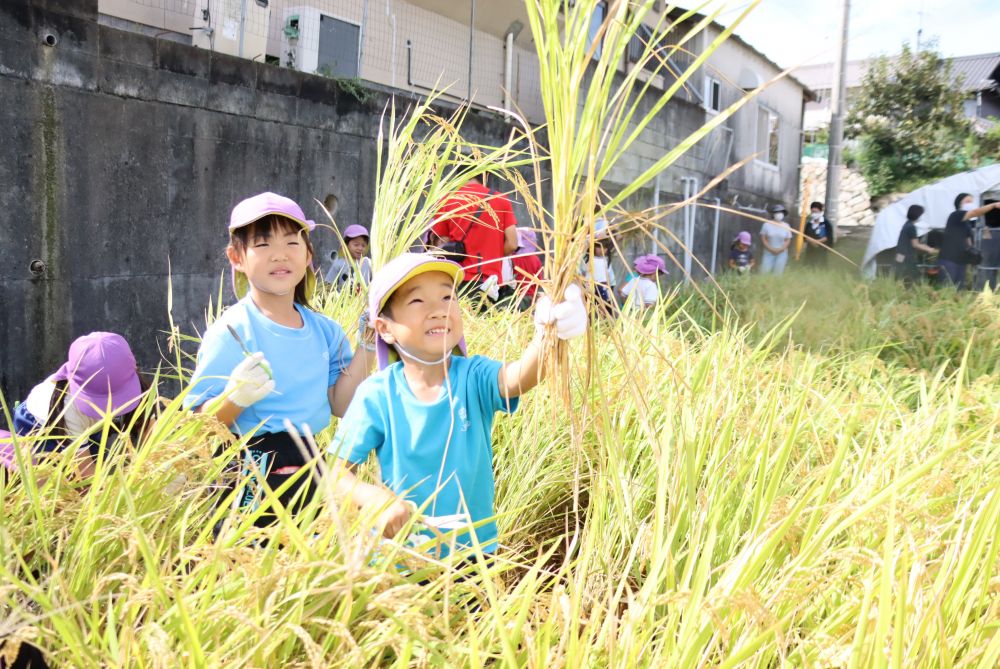 収穫☆喜び☆

子どもらしさあふれる瞬間