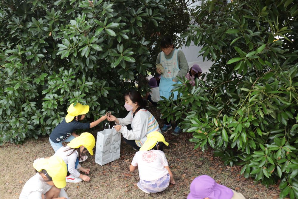 昨日に続き今日もお散歩♪
消防署横の広場にやって来ました
調べてみると、「東尾道東緑地」というそうです

松やドングリ、イチョウなどの木が植えてありストーンサークルがあります
今の季節はやっぱりドングリ
子どもも大人も夢中で拾い集めます