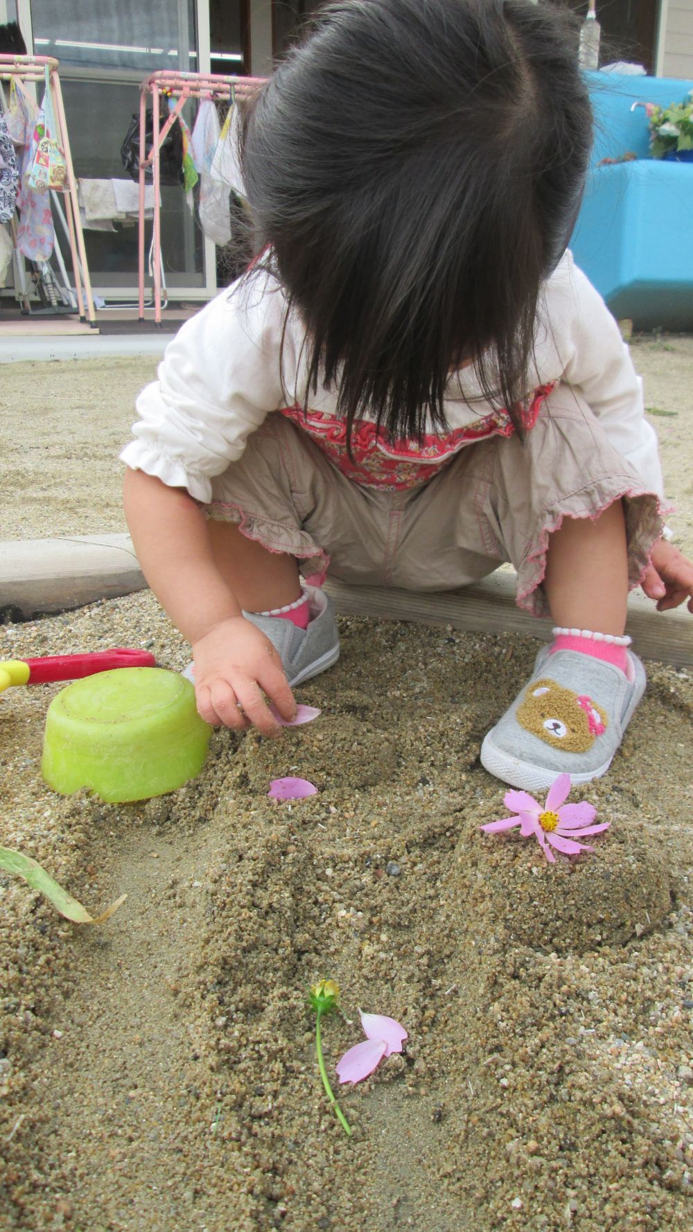 園庭に咲いたコスモス

ピンクでとってもキレイ♪
Sちゃんは、さっそく砂をお椀に入れて、
ケーキの土台を作って・・・

