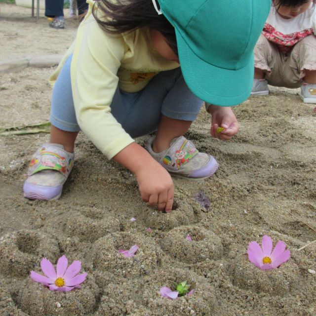 ＊　２歳児   　お花のケーキ②　＊