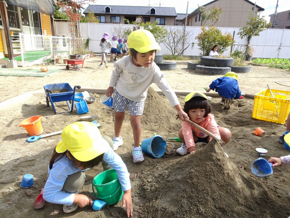 「キリン組の方が大きいじゃん！」
「ゾウ組のほうが勝っとるよ！」
白熱したバトルをするなか・・・

「今は、ゾウ組さんのほうがちょっぴり高いね！」と
ひまわりの枯れた茎を使って、高さを測るAちゃん

Aちゃんの比べ方にみんな納得し、また山づくりに取り組むキリン組さんとゾウ組さんでした