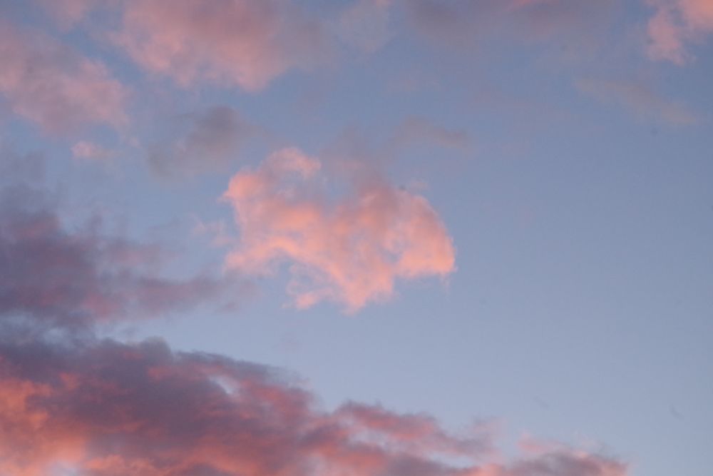 
指さす方を見上げてみたら・・・

なんと！ぶたの顔のような雲が♡

Yくん「ぶたのはなもあるよ！みみはあそこで～」

ピンク色の夕焼けも相まってほんものの可愛いぶたみたい！
