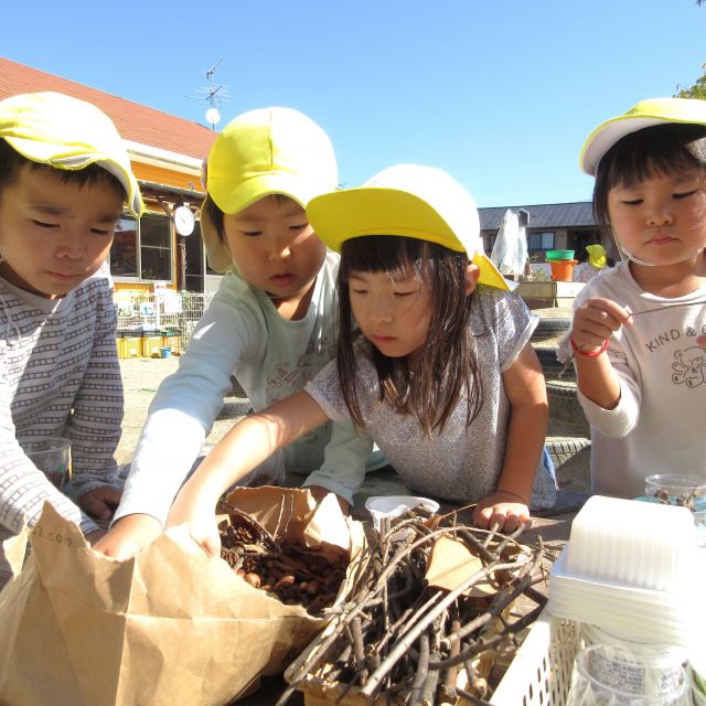 ＊　4歳児 　秋の自然物を使って・・・①　＊