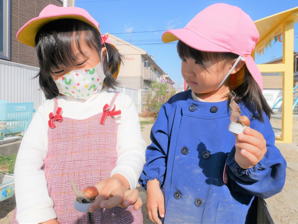 『カップケーキの完成』
YちゃんとYちゃんはお互いの作った物を
見比べてにっこり♡
『葉っぱの飾りもあるんだよ』