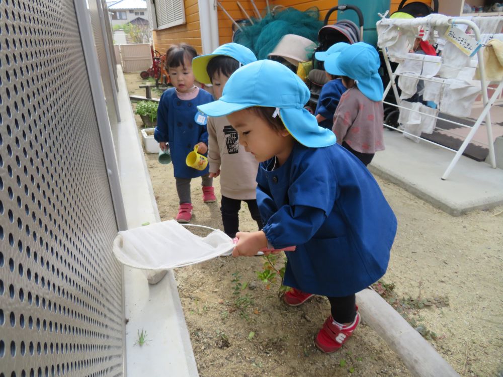 「虫取り網使ってみる？」と声をかけると
「うん！」と走って網を取りに行き、Nくんの挑戦

ピョンっとキリギリスが逃げるたびに「うわ～！」とNくんも逃げる
でも諦めずに追いかける、そのやりとりがしばらく続きました！


