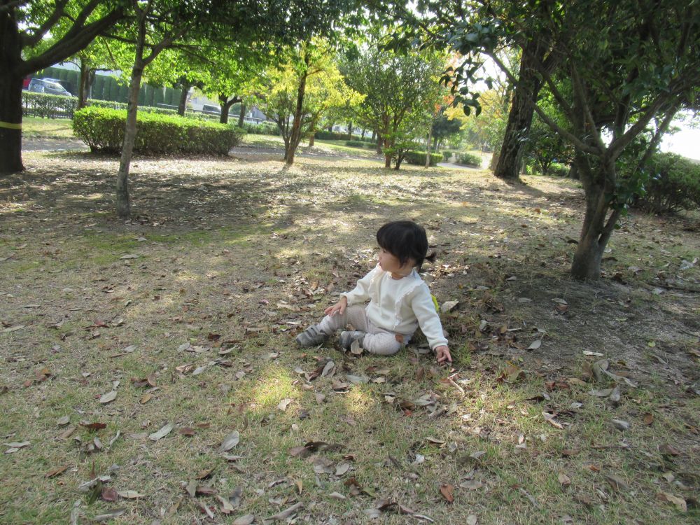 秋晴れで外遊びの気持ちいい季節
秋を探しに尾道東公園までお散歩に出かけました


公園に着くとさっそく丘を登り始めたYちゃん
上まで上がると風が吹いてきて、とっても気持ちよさそう！

