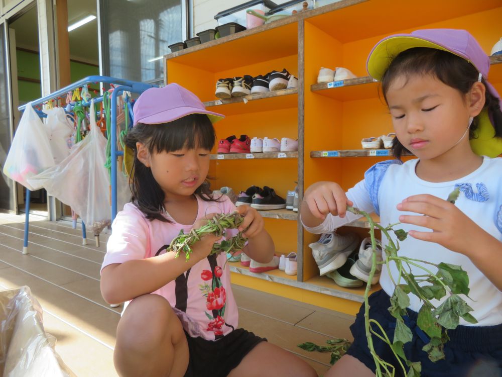 しばらくして、夏に育てたアサガオのツルと先日収穫したサツマイモのツルを使ってリースを作る子ども達、どうするのか聞いてみると
「これで冠をつくるの！」
自然物の使い方ナイス！