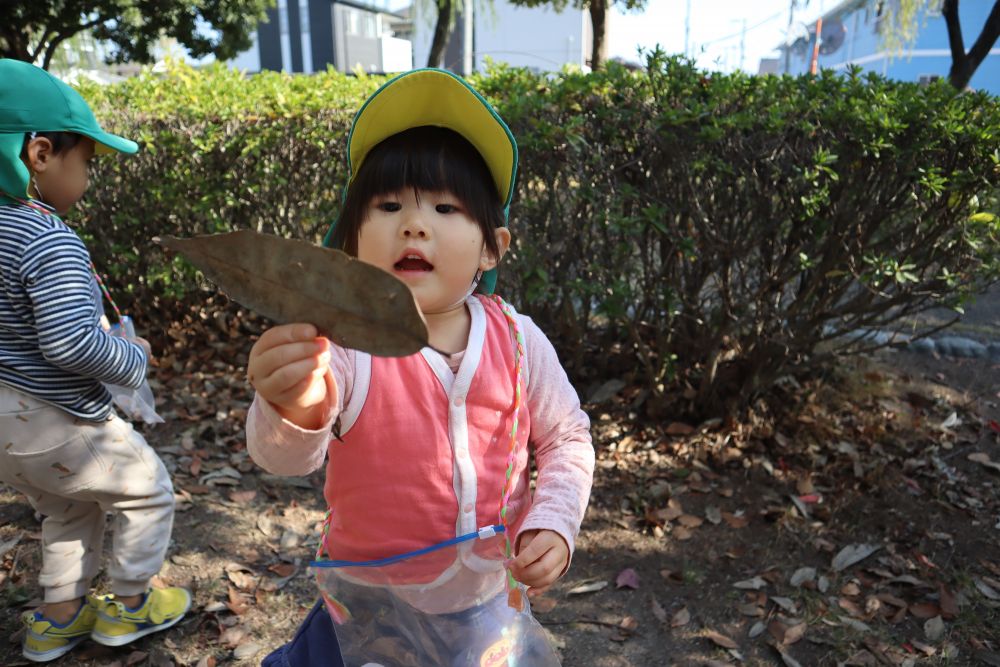 「大きい葉っぱあったよー！！」と、Mちゃん

公園には色々な形や大きさ、色の葉っぱがあります
