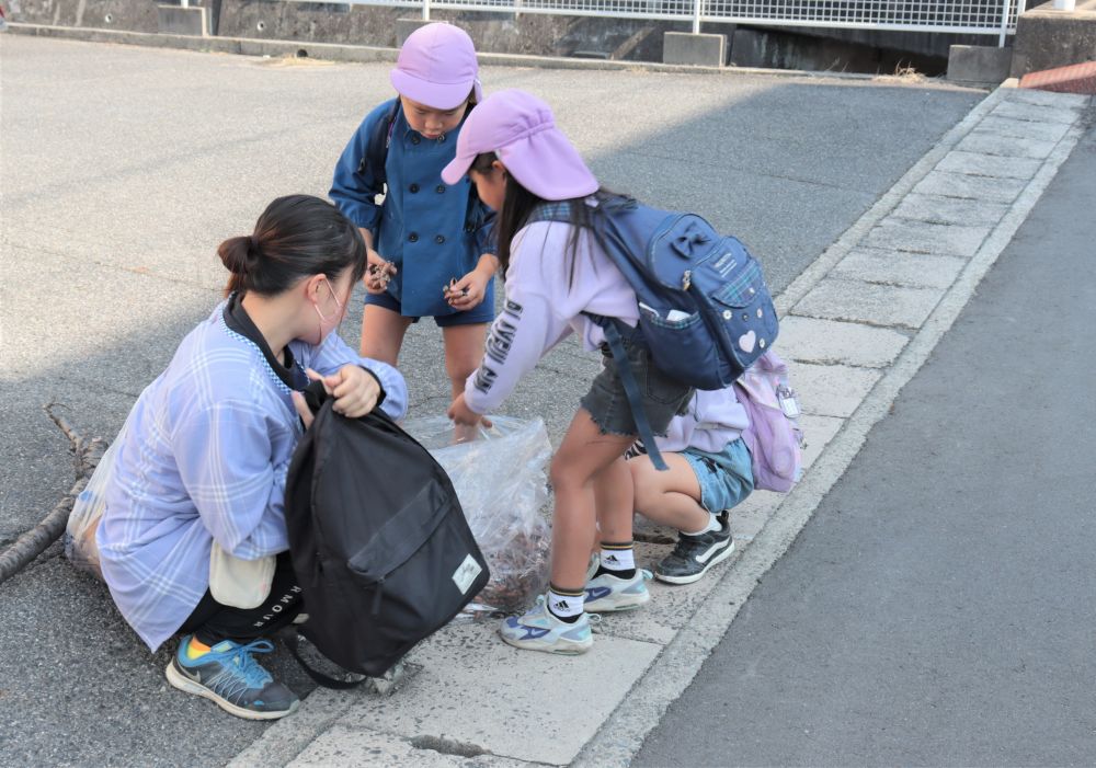 園まであと少しのところで想定内のハプニング！

ポリ袋が破れてしまいドングリがこぼれ落ちてしましました
しかし、そこも協力
ドングリに育ててもらう友情？素敵です☆