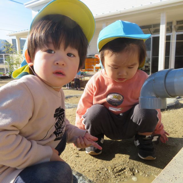 ＊　1歳児　お弁当の日①＊