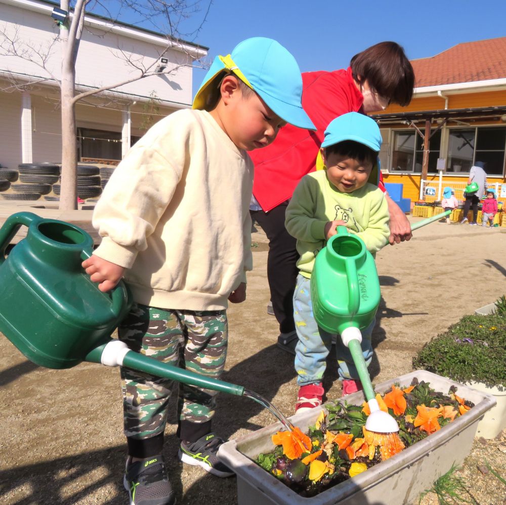 お弁当の日、今日は第３園庭に遊びにきました

花にお水をやっている石田先生を見つけ僕たちもお手伝い！
水道から花の所まで何度も休憩しながら一生懸命に水を運ぶ…

花の所についた頃には水は半分もありませんでしたがとっても満足そうに水をあげる2人
2人の後ろには頑張って運んだ証拠の水の道がしっかり出来ていました！