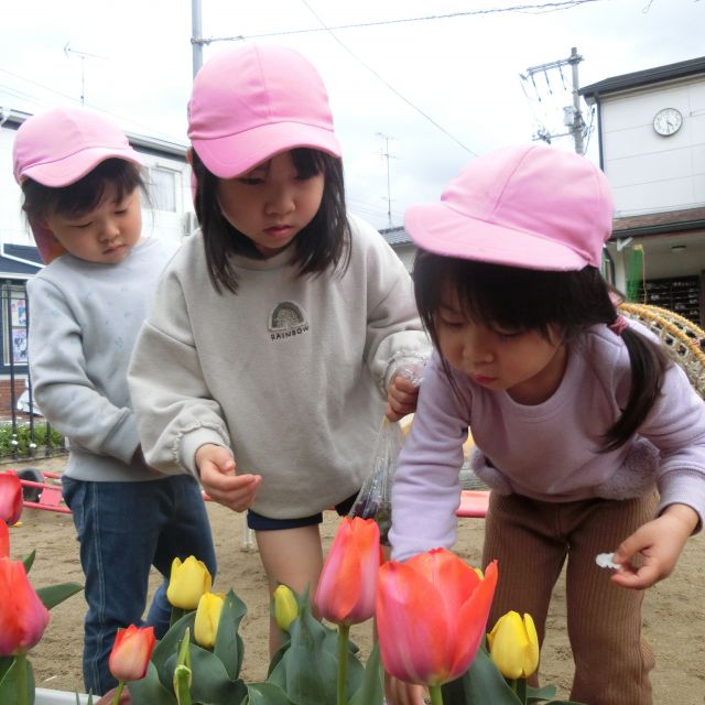 てんとう虫🐞＊３歳児＊