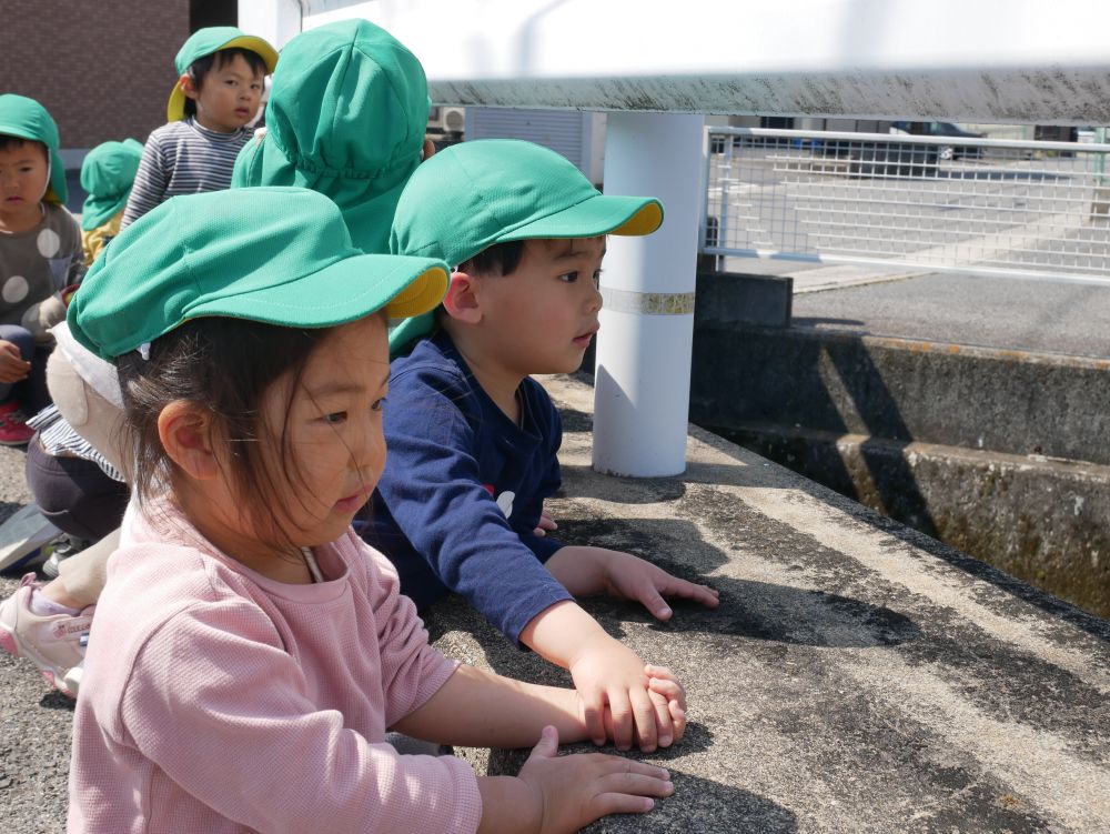 歩いていると・・・
『あっ！鳥が飛んだ！』
『どこに飛んでいった？』
飛んだ鳥の行き先をじーっと見つめるKくんとSちゃん
繋いだ手を離さない姿がなんとも微笑ましいですね♡