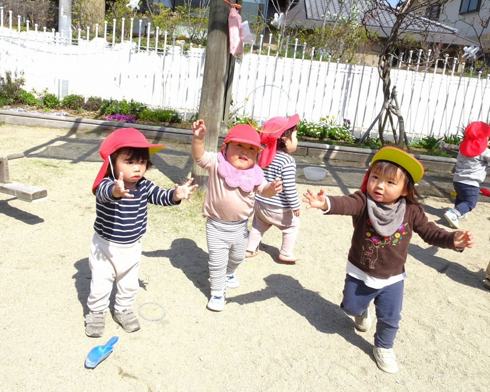 ４月から新しいお友達も増えてワクワクがいっぱいのヒヨコ組さん

園庭でふわふわ浮かぶしゃぼんだまを発見♡
　「おった！おった！」
　「こっちこっち！」
しゃぼんだまをタッチしたり、追いかけたり・・・
元気いっぱい楽しんでいます！