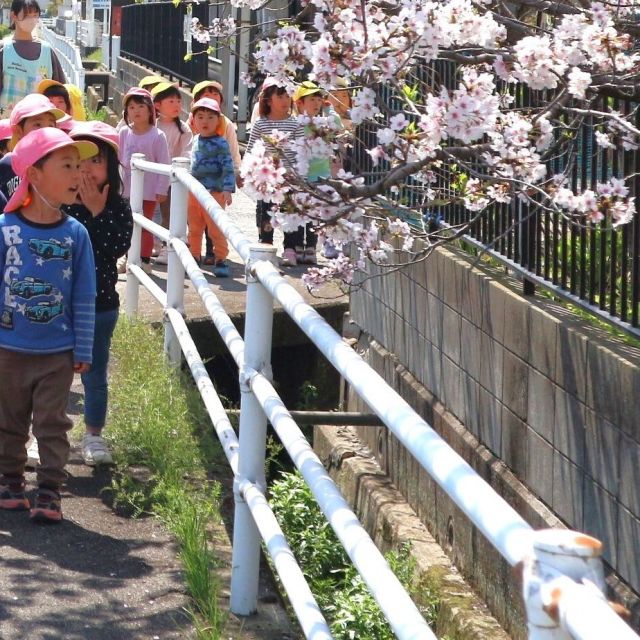 ＊　4歳児   　ゾウ組になったよ♡　①　＊