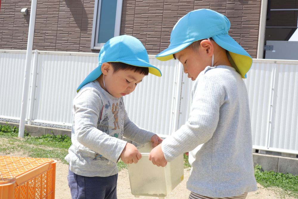 新年度になり、部屋も園庭も引越ししてクマ組さんスタート！
新しい友達も増えました♡

新しい園庭では春の虫を探したり、初めての遊具にチャレンジしたり・・・

Iくんは早速ダンゴムシを発見！
新しい環境にドキドキしながらも、先生や友達にダンゴムシとニッコリ笑顔を見せてくれましたよ。
