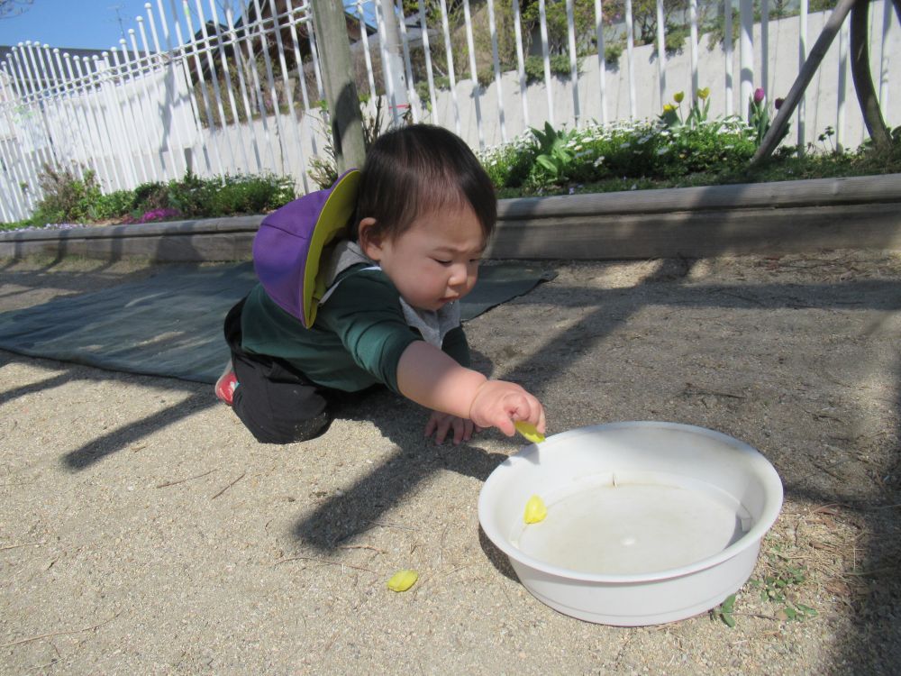 園で見つけた初めての宝物
白いお皿にそっと入れました
