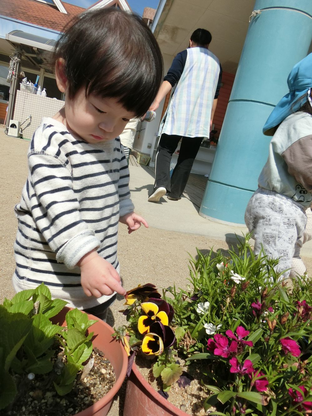 ヒヨコ組の新しいお友達♡

園庭を散策しているAくん。
お花を見つけました♪
そっと・・・触ってみる・・・