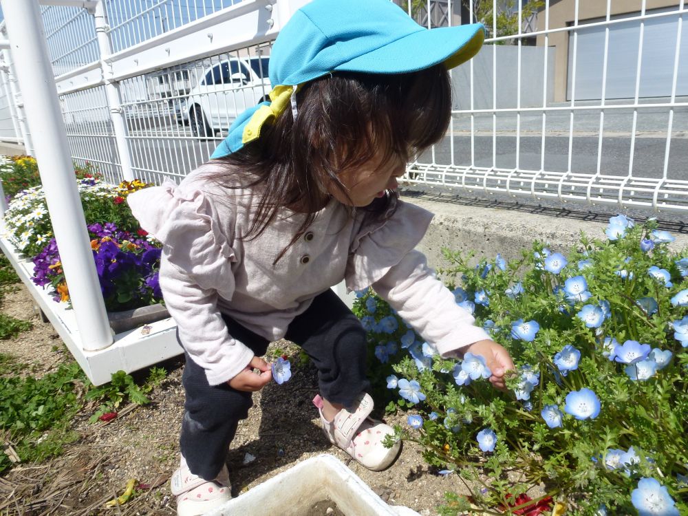 花が好きなNちゃん
お気に入りの花を見つけると
「きれいね～」
鼻を近づけて匂いを嗅いだり・・　手にとってニッコリ
「見て見て～」嬉しそう