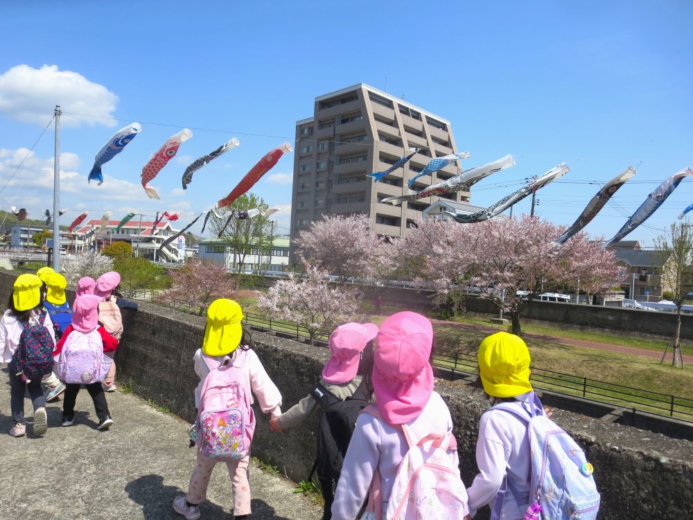 気温の変化に気づいたり…　
草花など自然に触れたり…
こいのぼりを見たり…　”春”を身体いっぱいで感じています


土手の場所を通ると、こいのぼりがいっぱい！
「わあー大きいね～！！」
「やねよ～り～たかい～こいのぼり～♪」
歌を口ずさむ姿も♡


