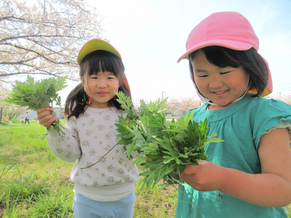 よもぎの葉を手いっぱいに取ってきたYちゃんとRちゃん
「見て！いっぱい取れたよ！」
「園に持って帰ってごちそう作りたいな♪」


摘んだ草花が遊びにつながっていく…♡